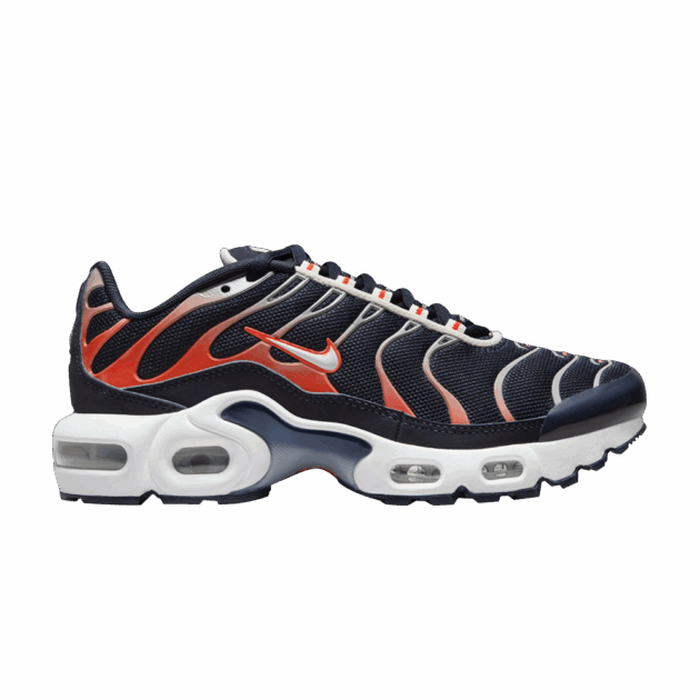 Nike Air Max Plus Dark Obsidian Bright Crimson (GS)