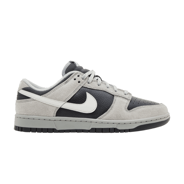 Nike Dunk Low Light Smoke Grey Anthracite