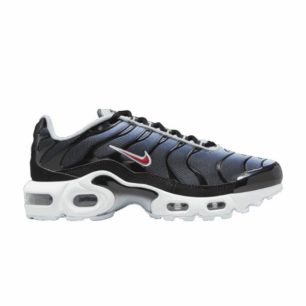 Nike Air Max Plus Blue Tint Rugged Orange (GS)