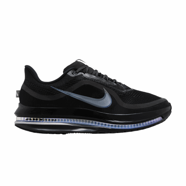 Nike Air Zoom Pegasus Premium Black Metallic Silver