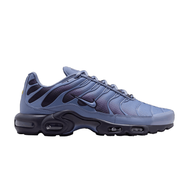 Nike Air Max Plus World Indigo