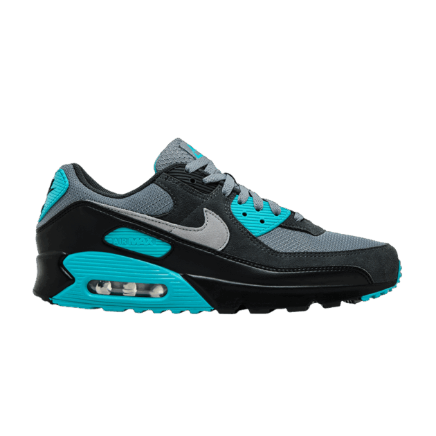 Nike Air Max 90 Cool Grey Dusty Cactus Black Wolf Grey